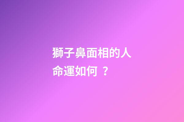 獅子鼻面相的人命運如何？